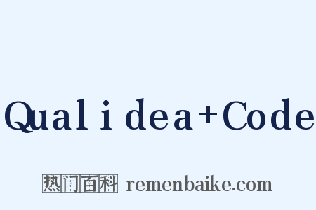 Qualidea+Code是什么意思的图片